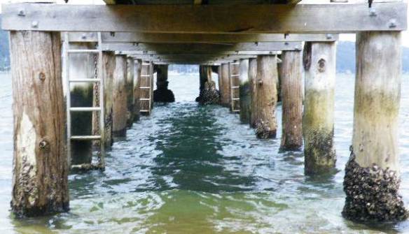 Currawong wharf. Photo by Lucie Adair-Roberts. This work first appeared in P76 Issue 6. http://rochfordstreetpress.wordpress.com/p76-literary-magazine/