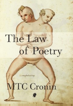 the_law_of_poetry