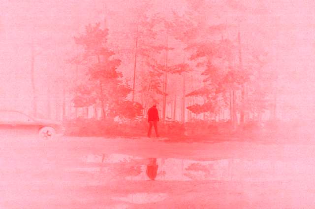 Leo Maguire, Rosa Harroony (fascination) from the series Rosa, 2011-15. Image courtesy the artist