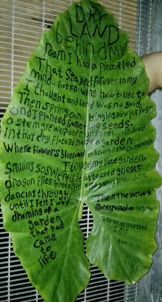 mohammad-ali-maleki-dry-land