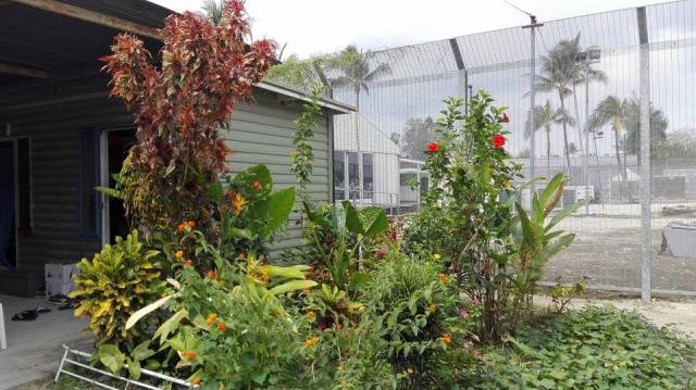 mohammad-ali-malekis-garden-on-manus-island