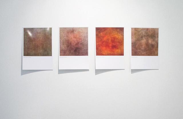 Baki Kocaballi, #hamburger 4:28pm 01/10/2016, #cat 3.13pm 02/10/2016, #flower 2.11pm 01/10/2016, #selfie 3.01pm 01/10/2016, digital inkjet print on photographic paper, 2016. Picture courtesy of Interlude Gallery