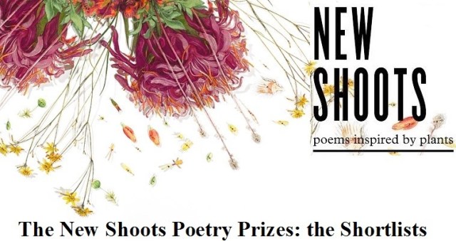 top-pic-2-nov-20-croppped