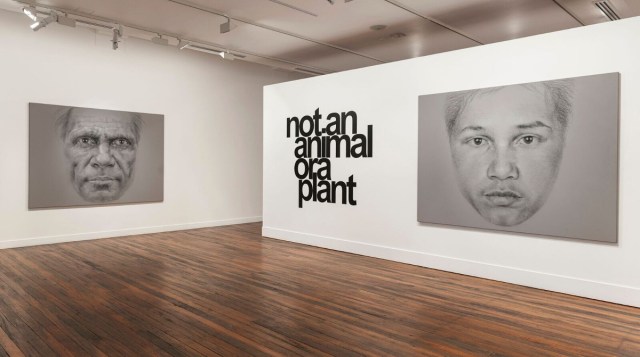 Vernon Ah Kee: not an animal or a plant , installation view at NAS Gallery, L to R George Sibley 2008 acrylic, charcoal and crayon on canvas 180 x 240 cm Collection Catherine Elms and Richard Williamson, Bris bane; not an animal or a plant 2006/2016 vinyl text on wall 180 x 201.5 cm; Eddie Ah Kee 2008 acrylic, charcoal and crayon on canvas 180 x 240 cm, co urtesy the artist and Milani Gallery, Brisbane Photo: Peter Morgan 