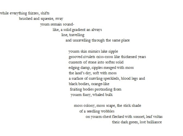 3rd-para-use-fallen-myrtle-trunk-jpeg