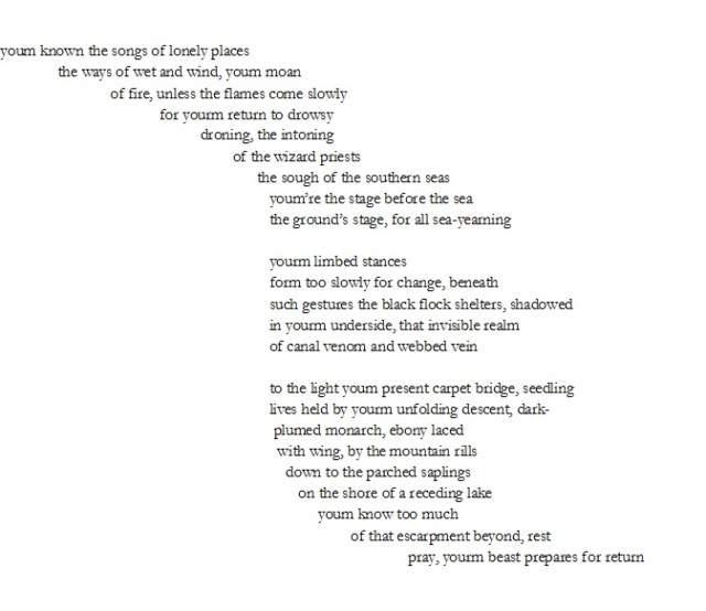 para-2-fallen-myrtle-trunk-jpeg-no-space